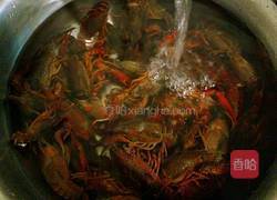 吮指回味十三香啤酒小龙虾的做法图解6