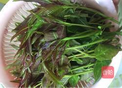 凉拌香椿的做法图解2