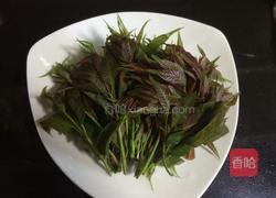 凉拌香椿的做法图解1