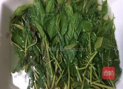 凉拌香椿的做法图解5