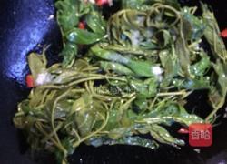 凉拌香椿的做法图解10