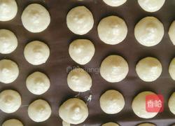 鸡蛋黄饼干的做法图解8