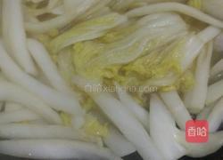 清炒白菜的做法图解3