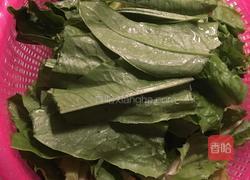 豆豉鲮鱼炒麦菜的做法图解1