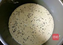 电饭煲蒸蛋糕的做法图解16