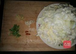 爆炒圆白菜的做法图解1