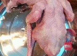 炖鸽子汤的做法图解2