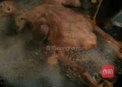 炖鸽子汤的做法图解3