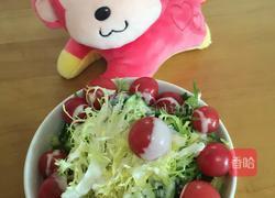 经典蔬菜沙拉的做法图解7