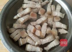 白菜猪肉炖粉条的做法图解3