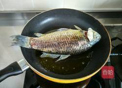 炖鱼汤的做法图解6