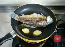 炖鱼汤的做法图解7