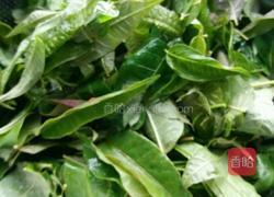 腌香椿的做法图解1