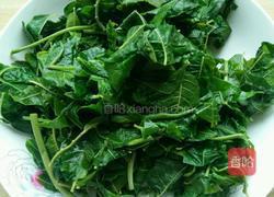 腌香椿的做法图解2