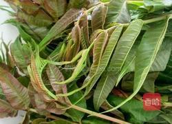 凉拌香椿的做法图解1