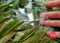 凉拌香椿的做法图解3