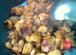 鸡肉炖土豆的做法图解5