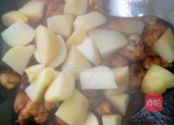 鸡肉炖土豆的做法图解6