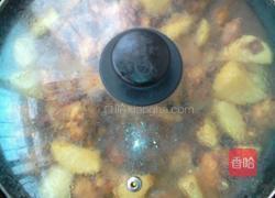 鸡肉炖土豆的做法图解8