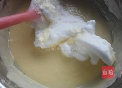 奶酪蛋糕的做法图解8