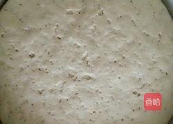 香菇猪肉包的做法图解7