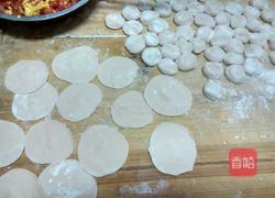 西红柿鸡蛋饺子的做法图解16