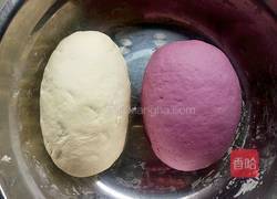 双色紫薯馒头卷的做法图解6