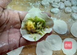 西葫芦鸡蛋虾皮饺子的做法图解11