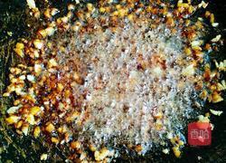 蒜蓉蚝油西兰花的做法图解5