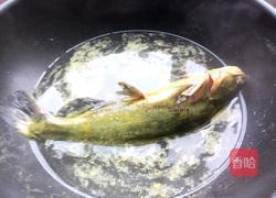 鲶鱼炖豆腐的做法图解6