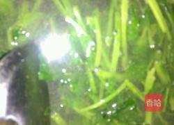 菠菜蛋汤的做法图解3