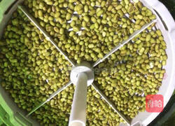 发绿豆芽的做法图解2