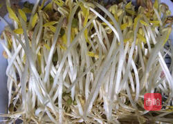 发绿豆芽的做法图解7