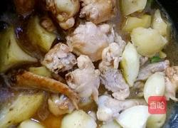土豆焖鸡的做法图解7