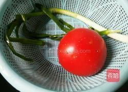西红柿鸡蛋面的做法图解1