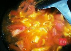 西红柿鸡蛋面的做法图解9