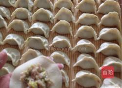 鲅鱼水饺的做法图解12