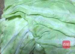 糖醋手撕包菜的做法图解1