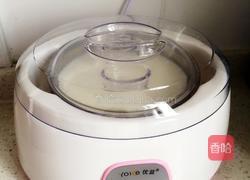 自制老酸奶的做法图解6