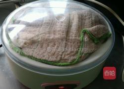 醪糟的做法图解14