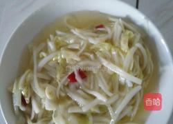 炝炒圆白菜的做法图解6