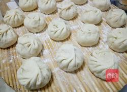 槐花包子的做法图解14