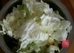 猪油手撕圆白菜的做法图解2
