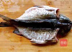 家常香辣烤鱼的做法图解5