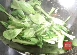 白菜豆腐的做法图解3