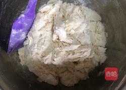 青菜大肉包的做法图解3