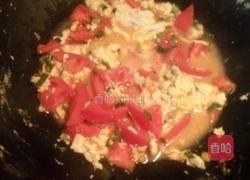 西红柿鸡蛋卤的做法图解5