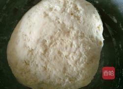 猪肉白菜饺子的做法图解1