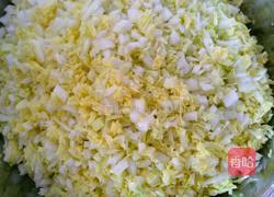 猪肉白菜饺子的做法图解7