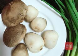 鲜菌奶白鲫鱼汤的做法图解4